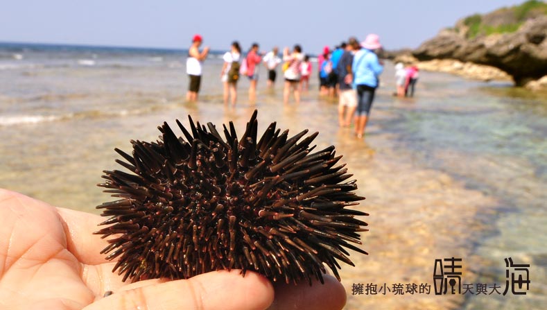 晴海民宿套裝行程